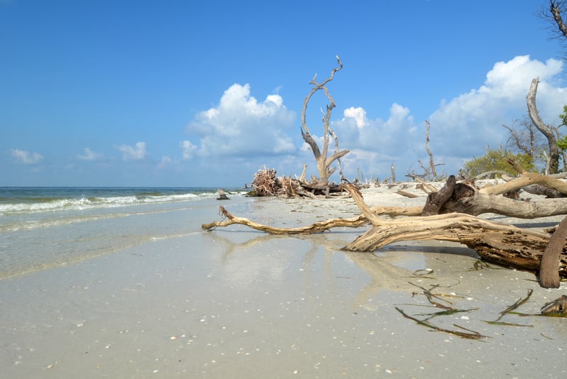 Cayo Costa Island State Park